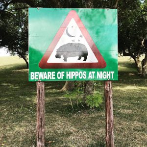st lucia hippo's