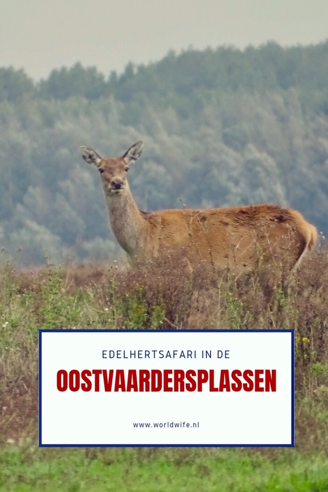 Ga op zoek naar de Grote Vijf van Nederland met Staatsbosbeheer - www.worldwife.nl #edelhertsafari #oostvaardersplassen