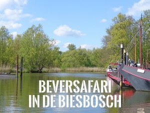 beversafari biesbosch