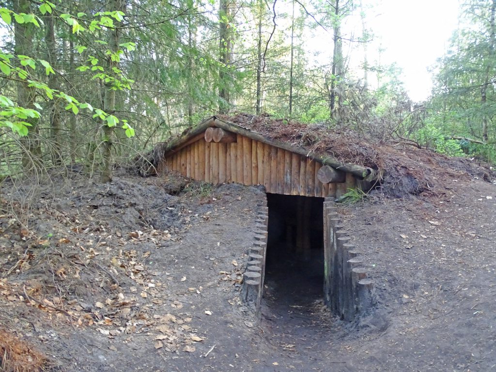Op safari in Nederland met Staatsbosbeheer