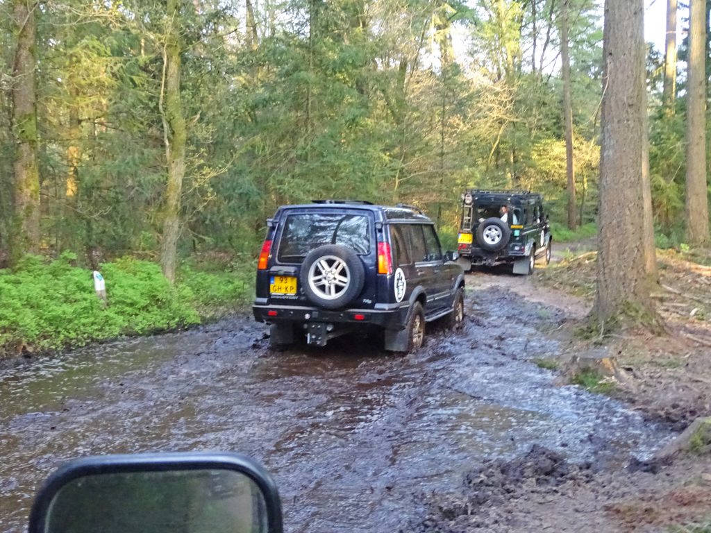 Op zoek naar de grote vijf in Nederland: wild zwijn safari Veluwe