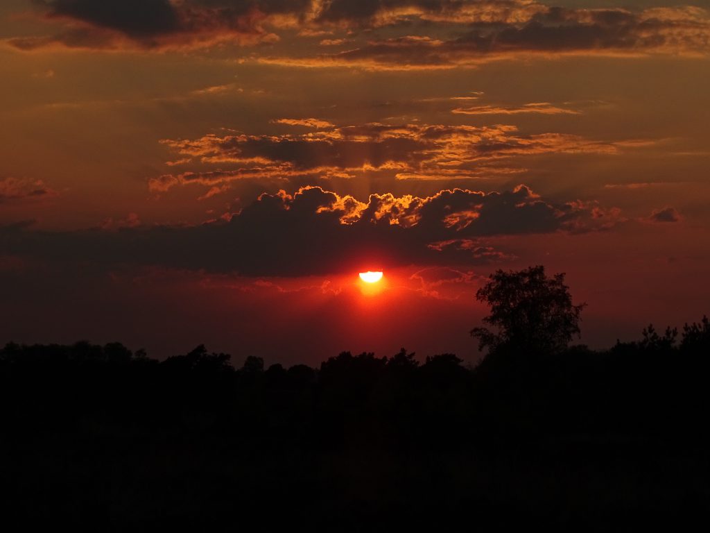 zonsondergang Veluwe