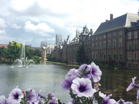 doen in den haag