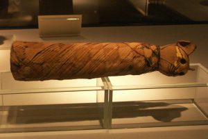 mummificatiemuseum luxor