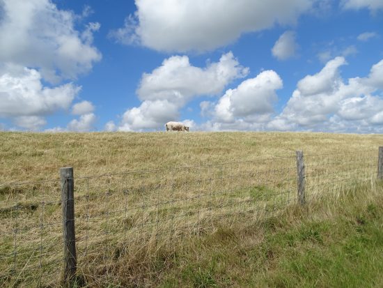 tips weekendje weg Nederland