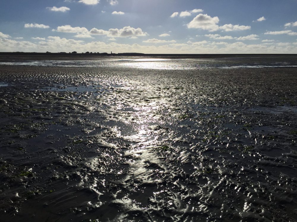 Wadlopen is een unieke activiteit die je kut doen in Friesland, Groningen en op de Waddeneilanden.