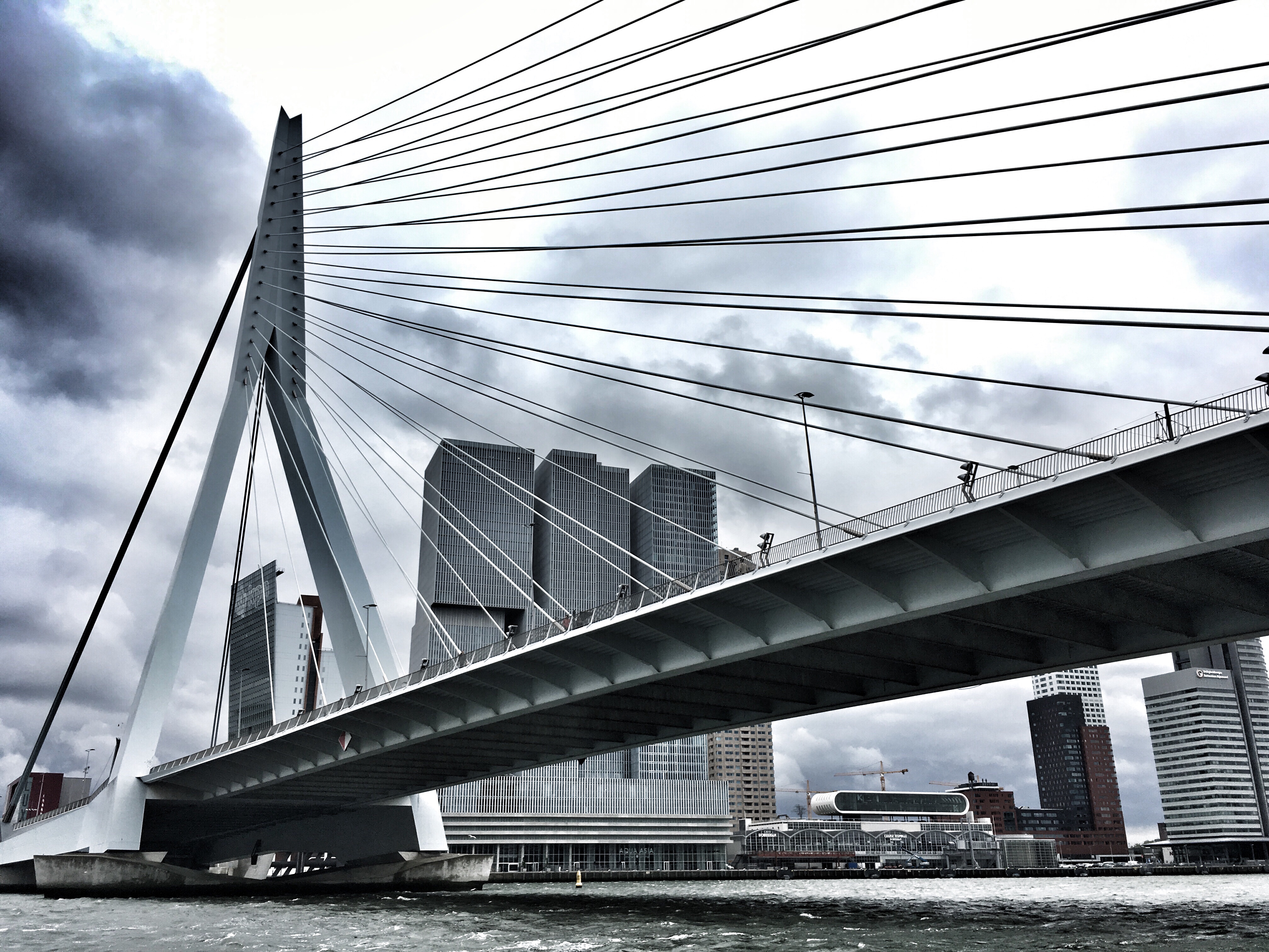 Erasmusbrug Rotterdam