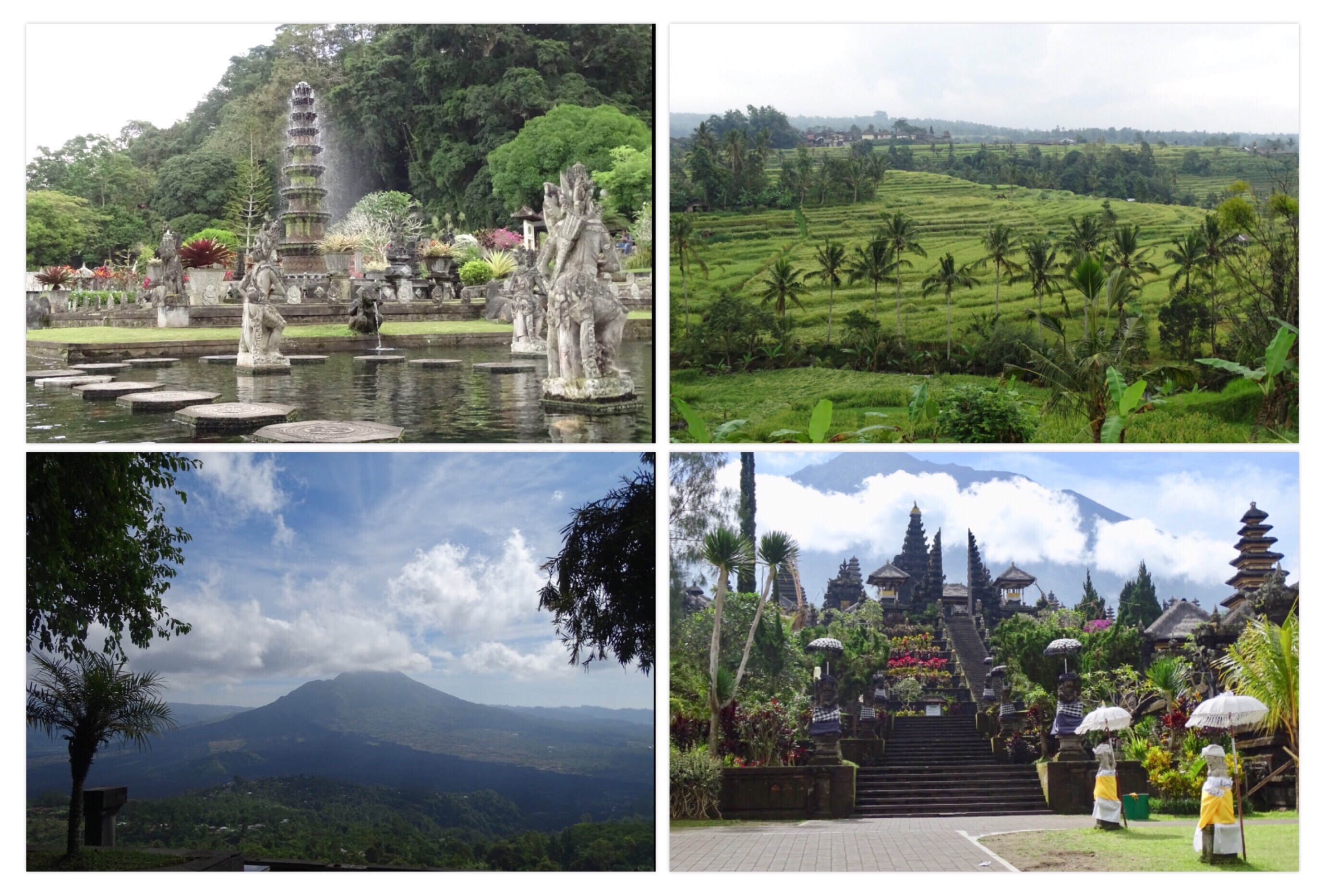 tips indonesie