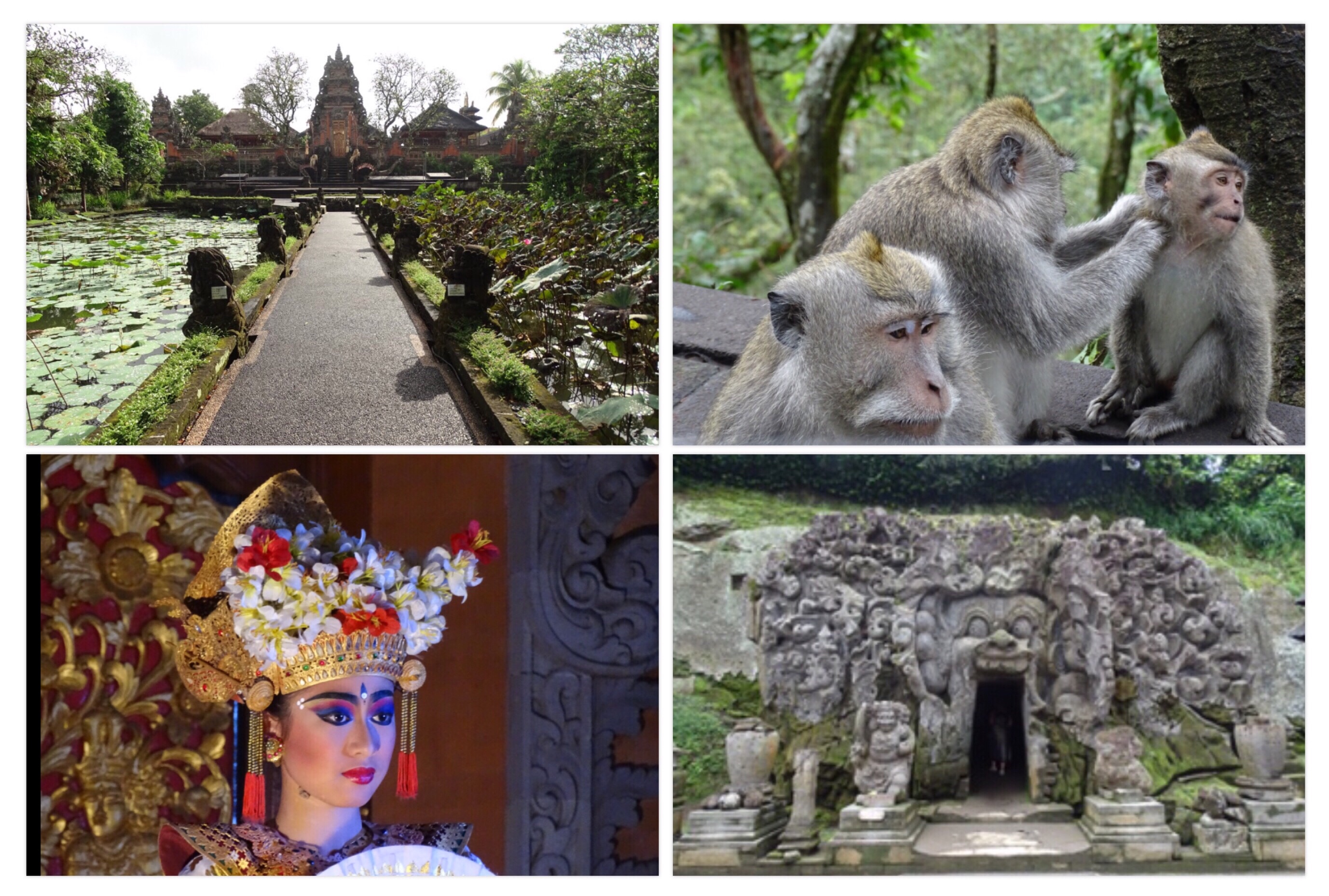 tips ubud bali