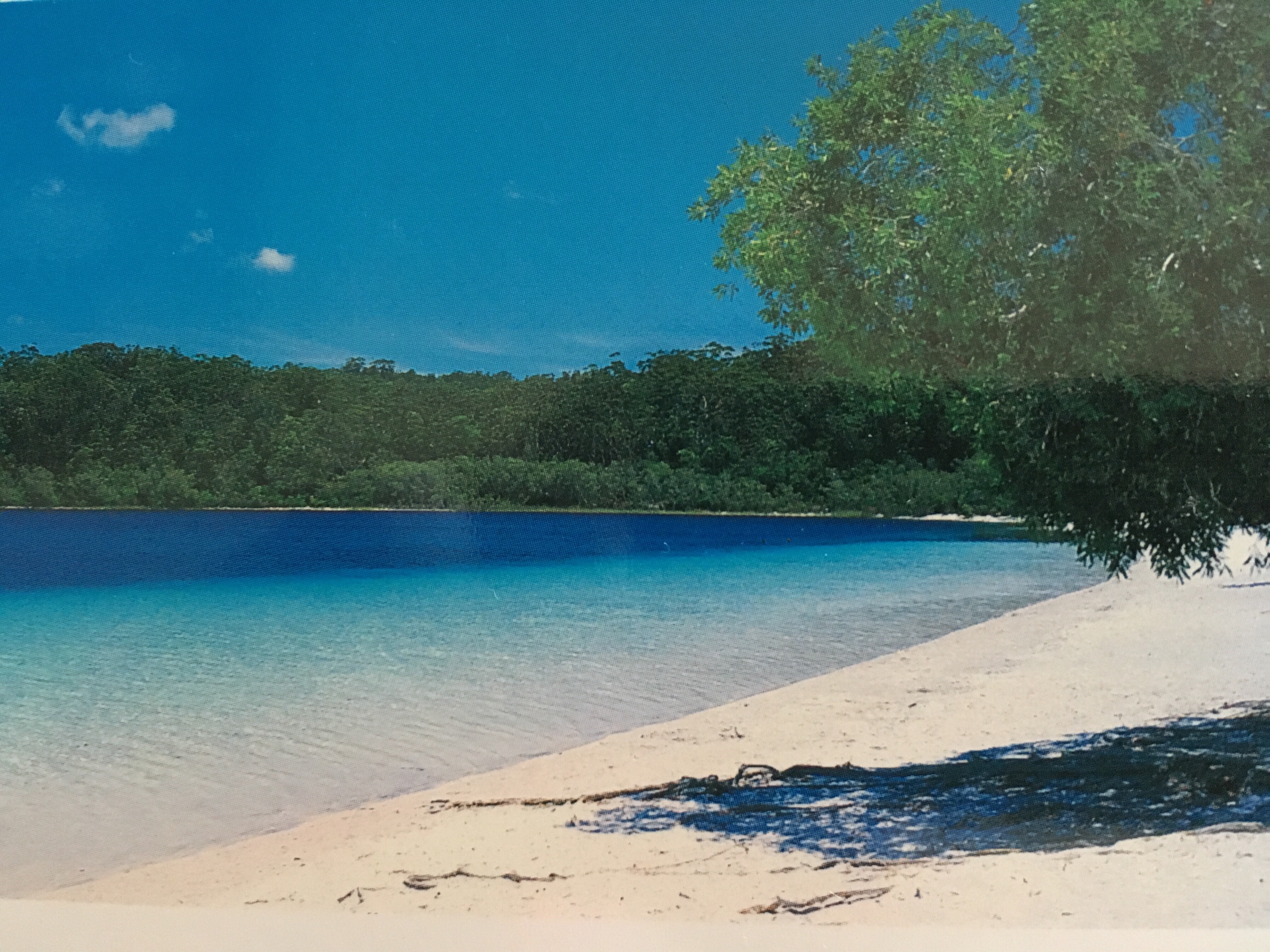 fraser island