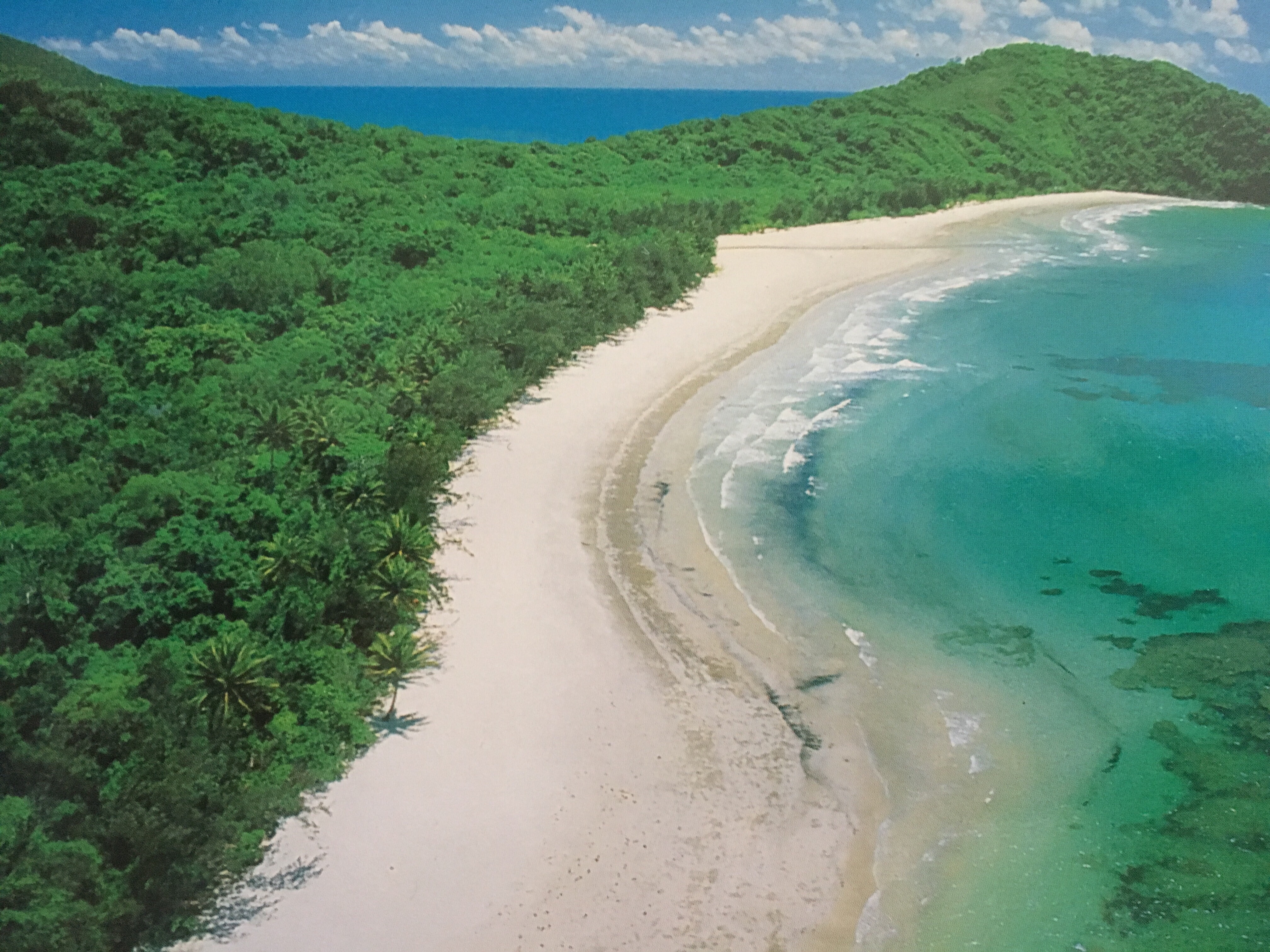 cape tribulation australie