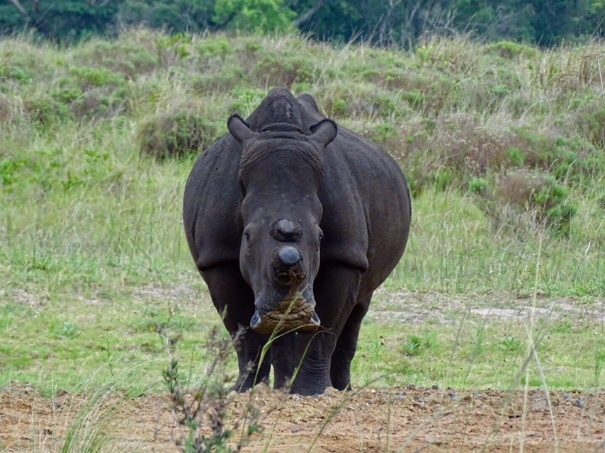 iSimangaliso Wetland Park