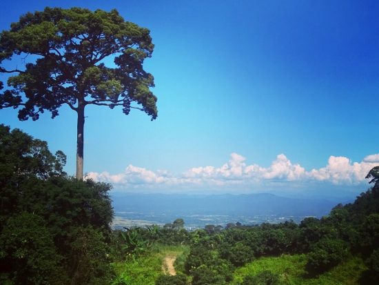 Mountainbiken in Chiang Mai