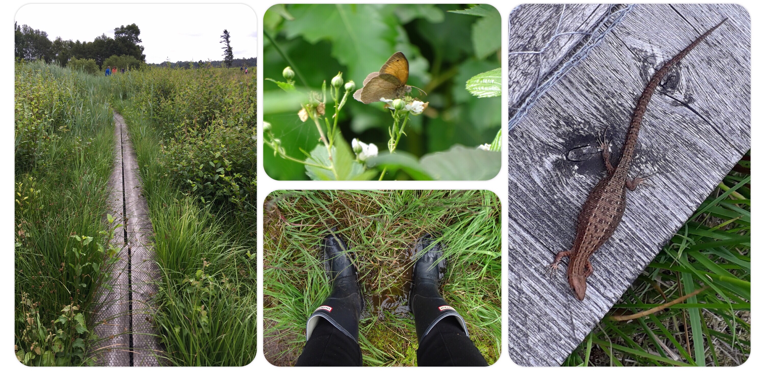 wandelen in winterswijk