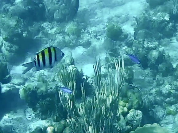 snorkelen Playa Giron