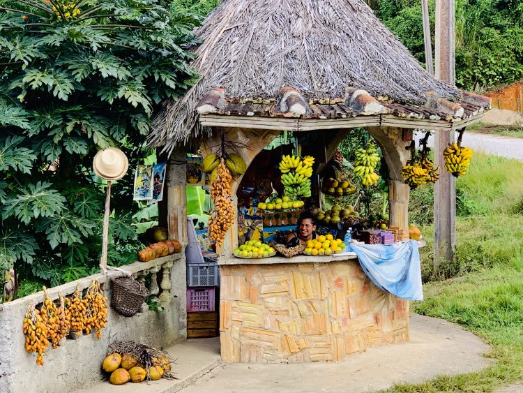 Tour Topes de Collantes vanuit Trinidad