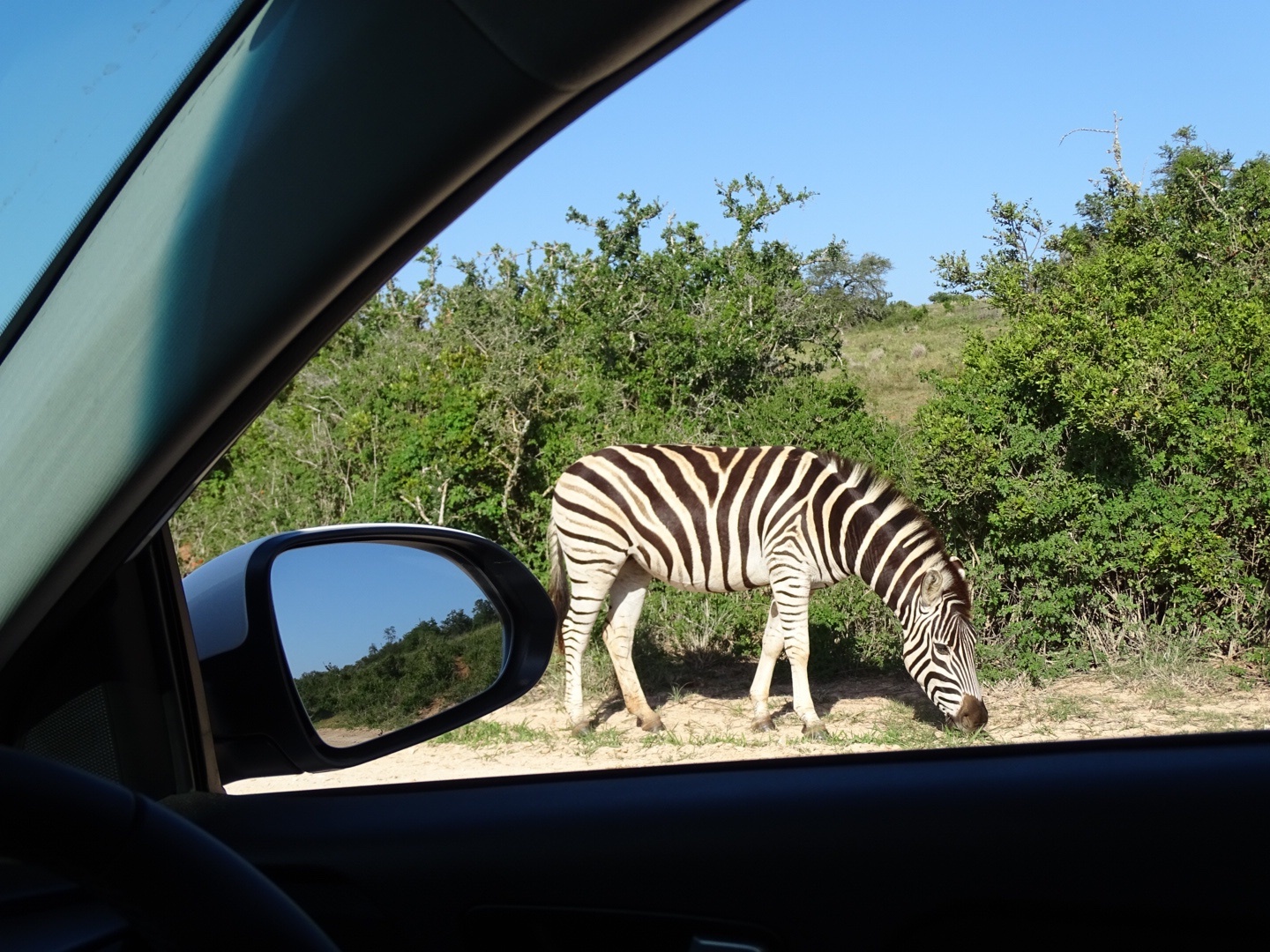 tips auto huren Zuid-Afrika