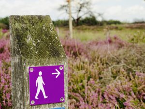 wandelen strabrechtse heide