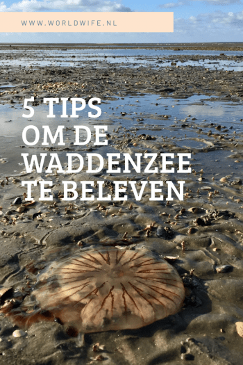 5 tips om de Waddenzee te beleven #Nederland #Waddeneilanden #Wadden