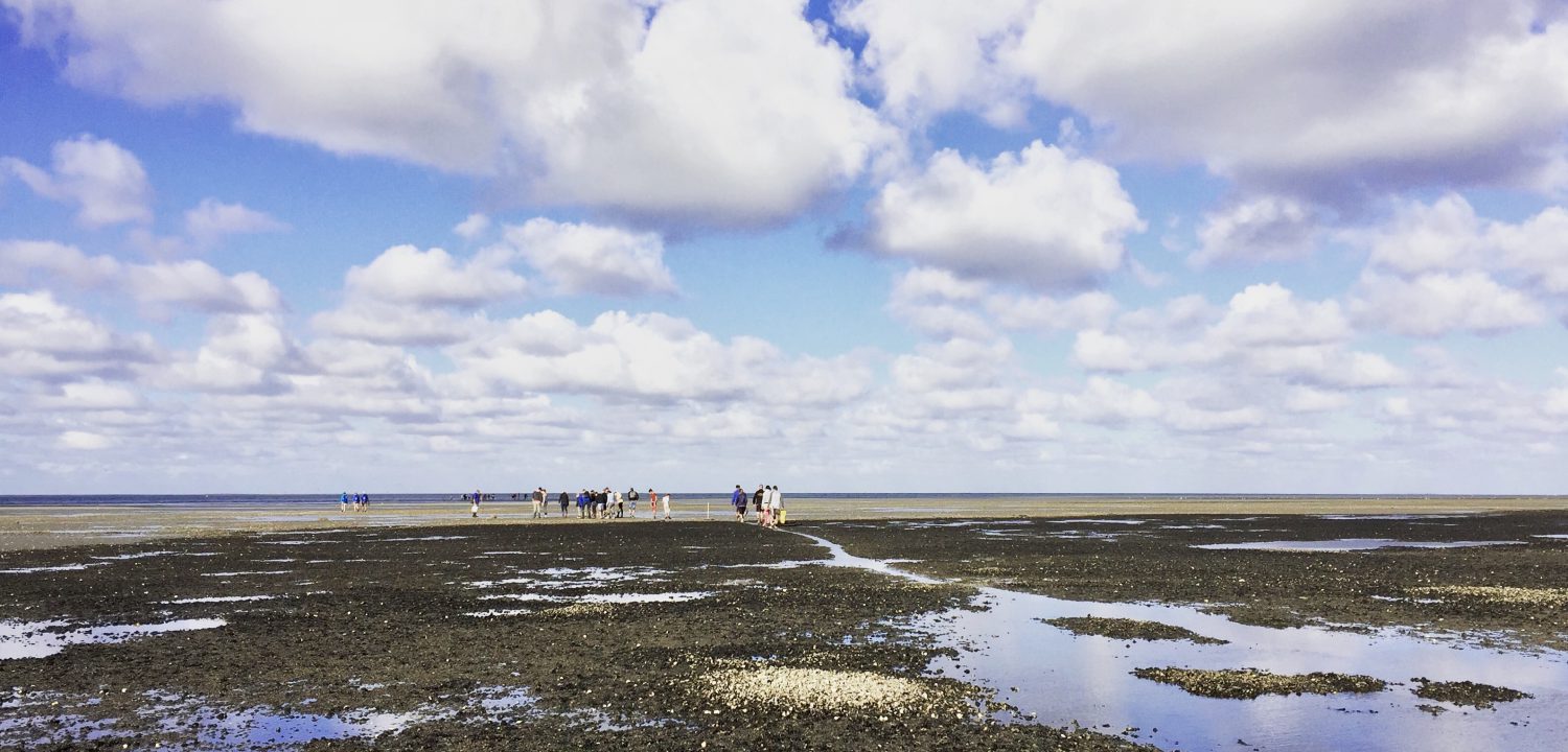 5 tips om de Waddenzee te beleven #Nederland #Waddeneilanden #Wadden