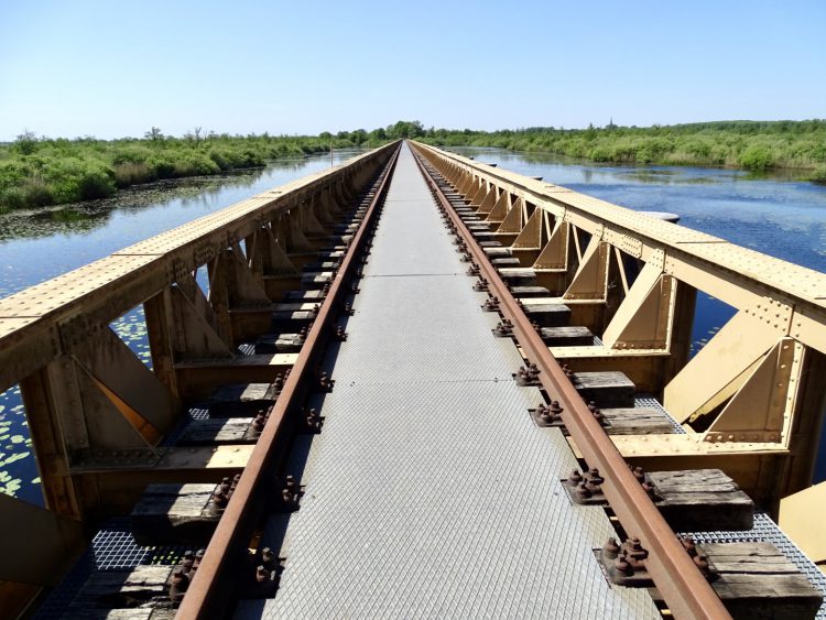 Wandelen Moerputte Den Bosch: de Moerputterbrug, industrieel erfgoed in de natuur