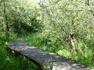 vlinderpad moerputten den bosch