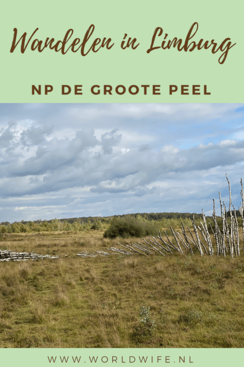 Wat te doen in Limburg? Wandelen in de Groote Peel vanuit Ospel | Vakantie Nederland