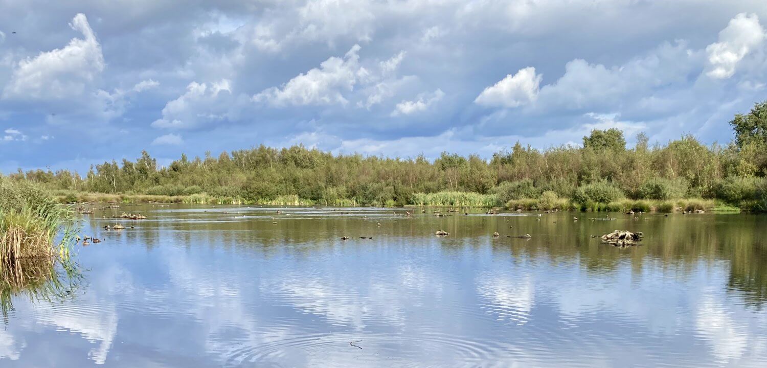 Wandelen in Limburg: NP de Groote Peel