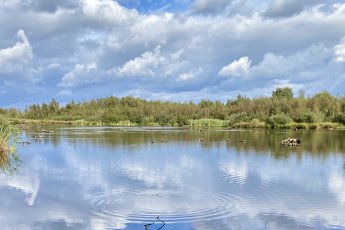 Wandelen in Limburg: NP de Groote Peel