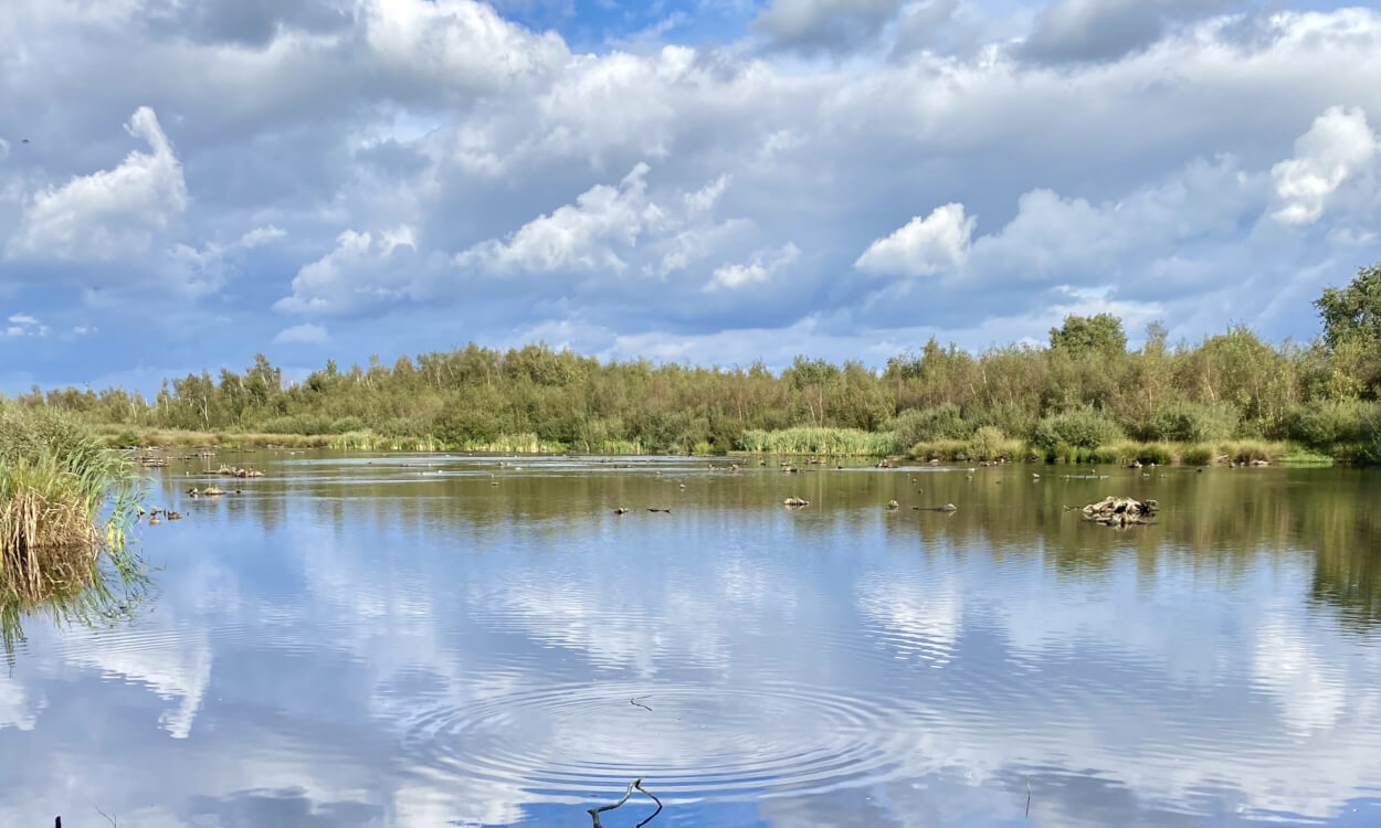 Wandelen in Limburg: NP de Groote Peel