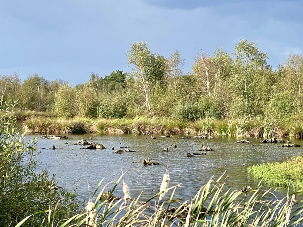 Wandelroute Groote Peel Limburg langs Meerbaansblaak