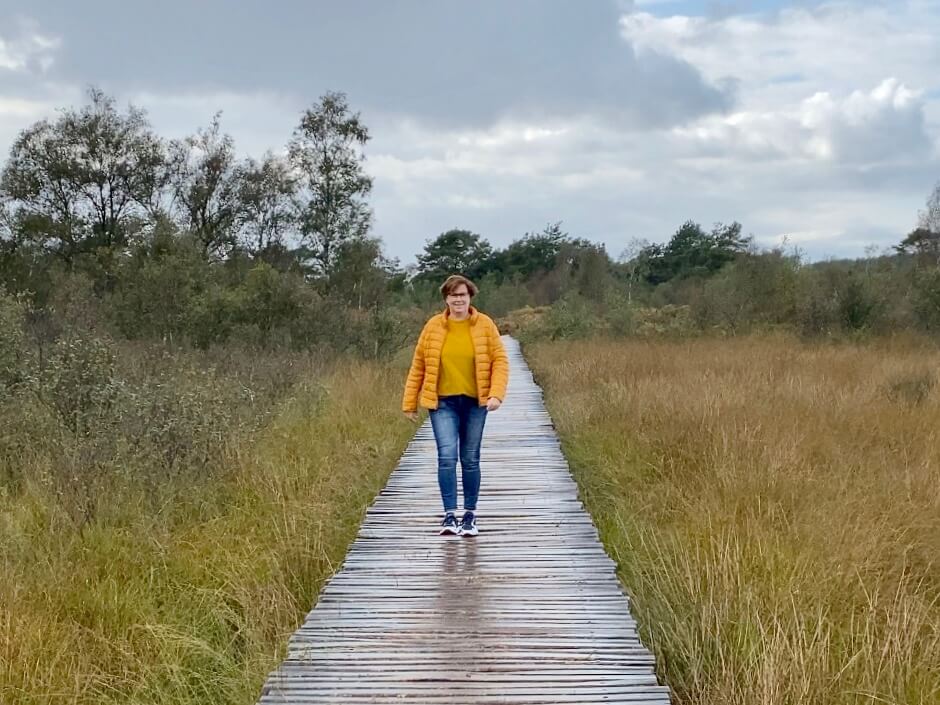 Wandelen Groote Peel Ospel | Knuppelbrugroute langs Meerbaansblaak