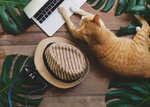 Locatie-onafhankelijk werken, waar en wanneer je maar wil.