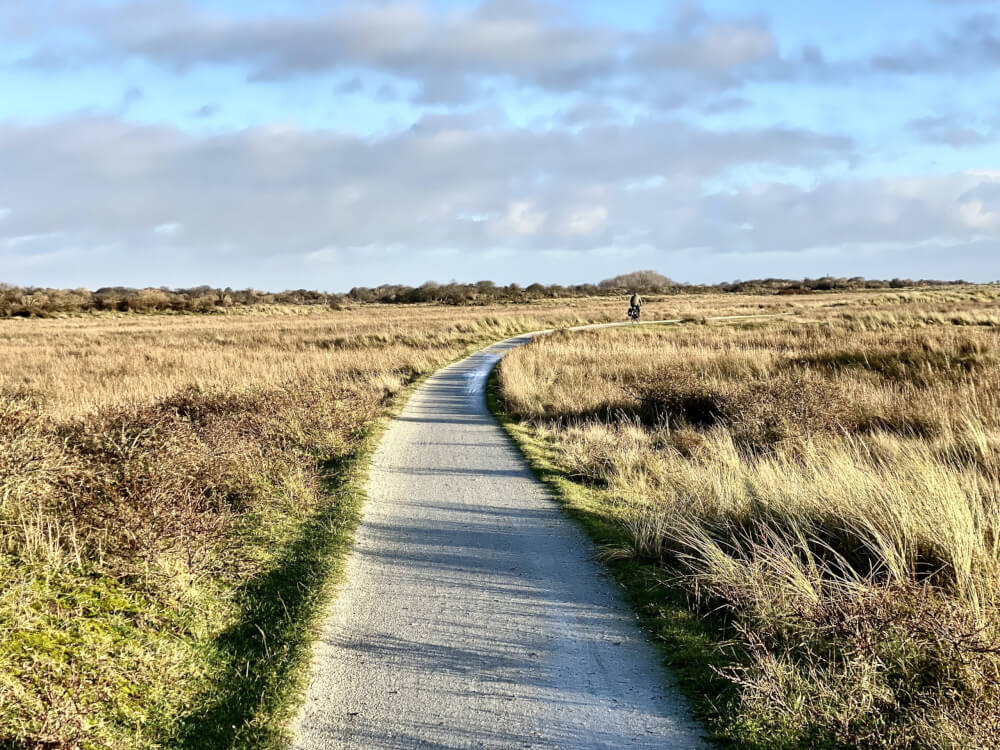 Winter op Schiermonnikoog