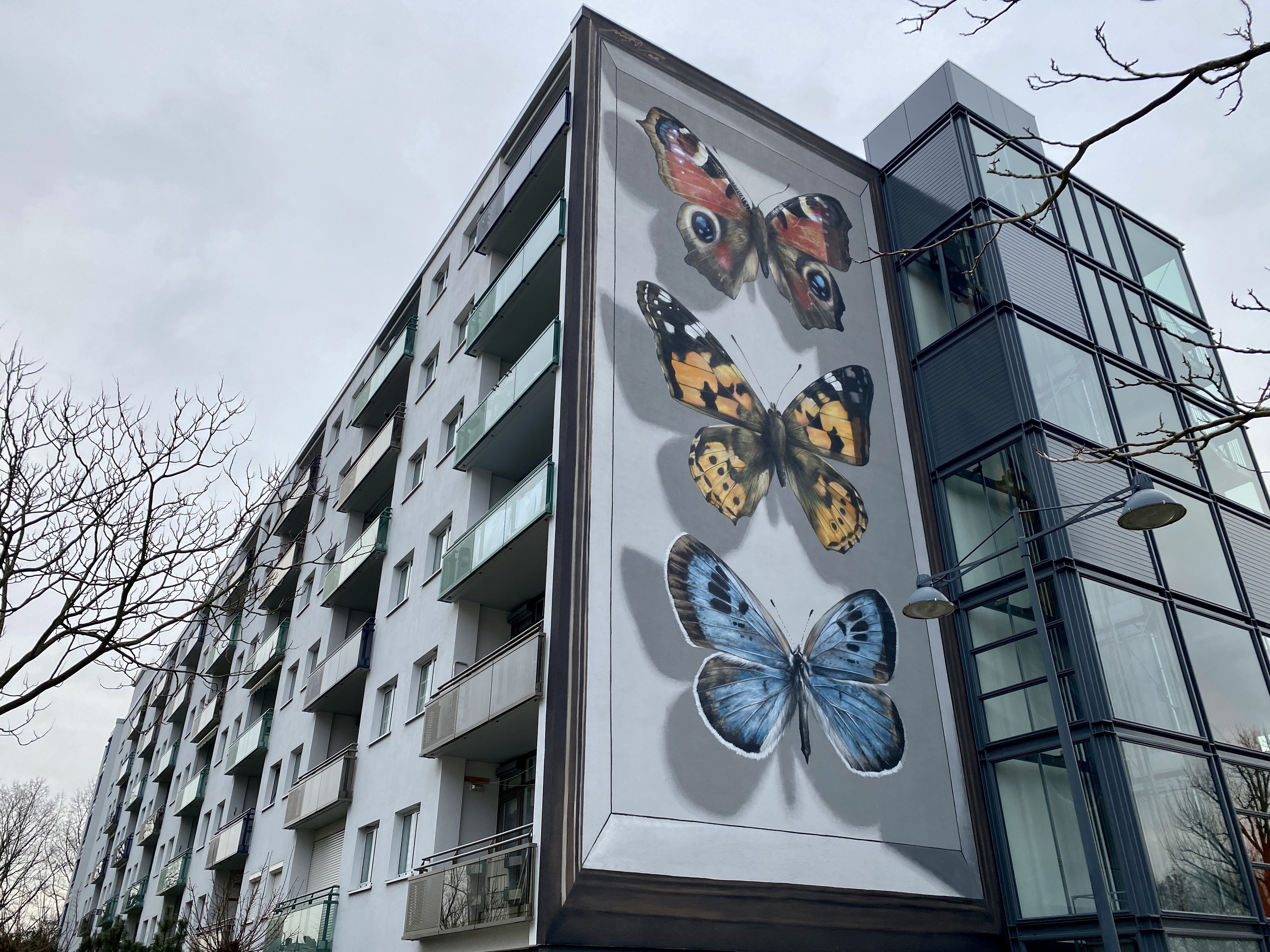 Blind Walls Gallery Breda