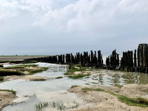 De mooiste kustlijn van Nederland: de kwelders van tweelingdorp Paesens-Moddergat.