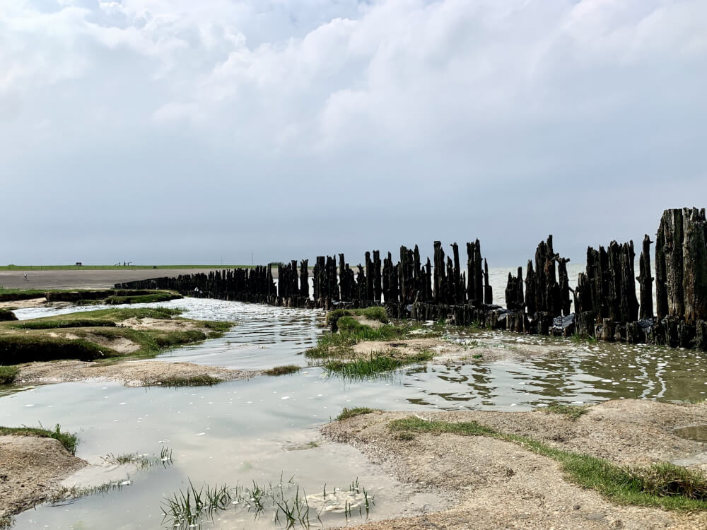 De mooiste kustlijn van Nederland: de kwelders van tweelingdorp Paesens-Moddergat.