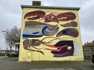 Wat te doen in Goes? 13 tips