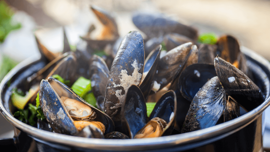 Waar mosselen eten Zeeuws-Vlaanderen, Zeeland