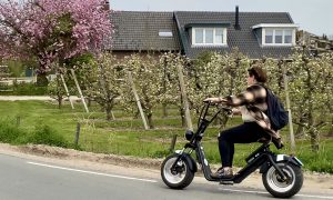 Uniek dagje uit in Nederland: Rij de bloesemtocht in de Betuwe op een e-chopper