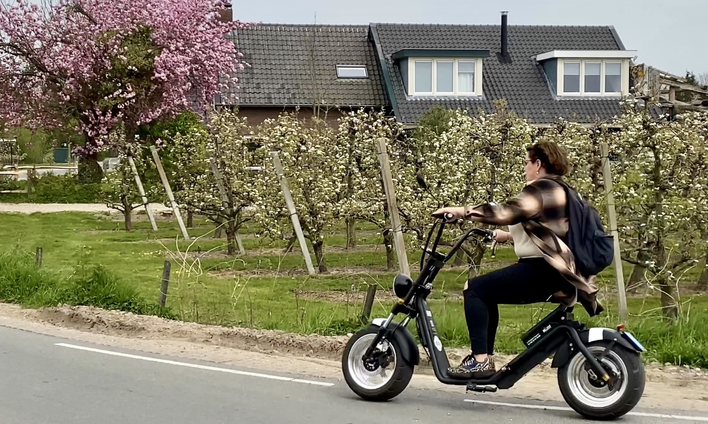 Uniek dagje uit in Nederland: Rij de bloesemtocht in de Betuwe op een e-chopper