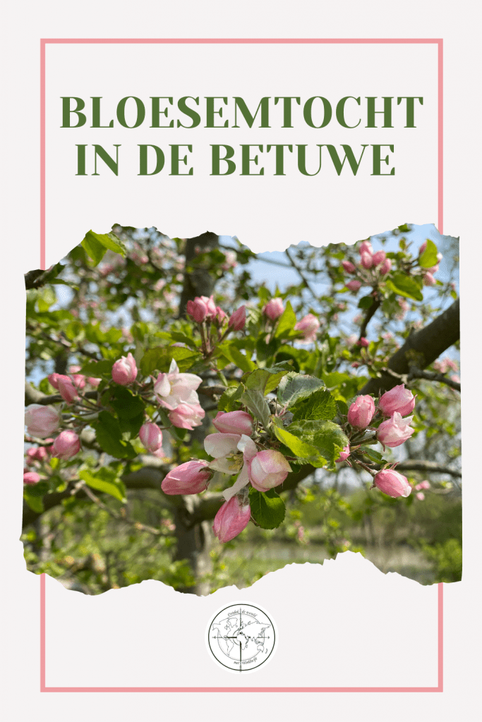 Rij de bloesemtocht in de Betuwe op een e-chopper en geniet in het voorjaar van de prachtig bloeiende fruitbomen.
