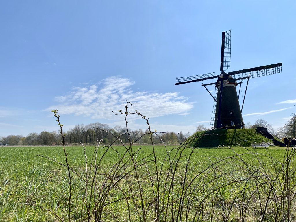Fietsen in Brabant: van Gogh-route