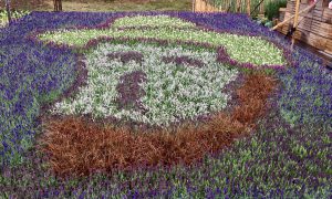 Knooppunten fietsroute door het landsschap van van Gogh