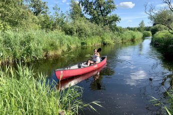 Doen in Friesland: kanoën in de Alde Feanen