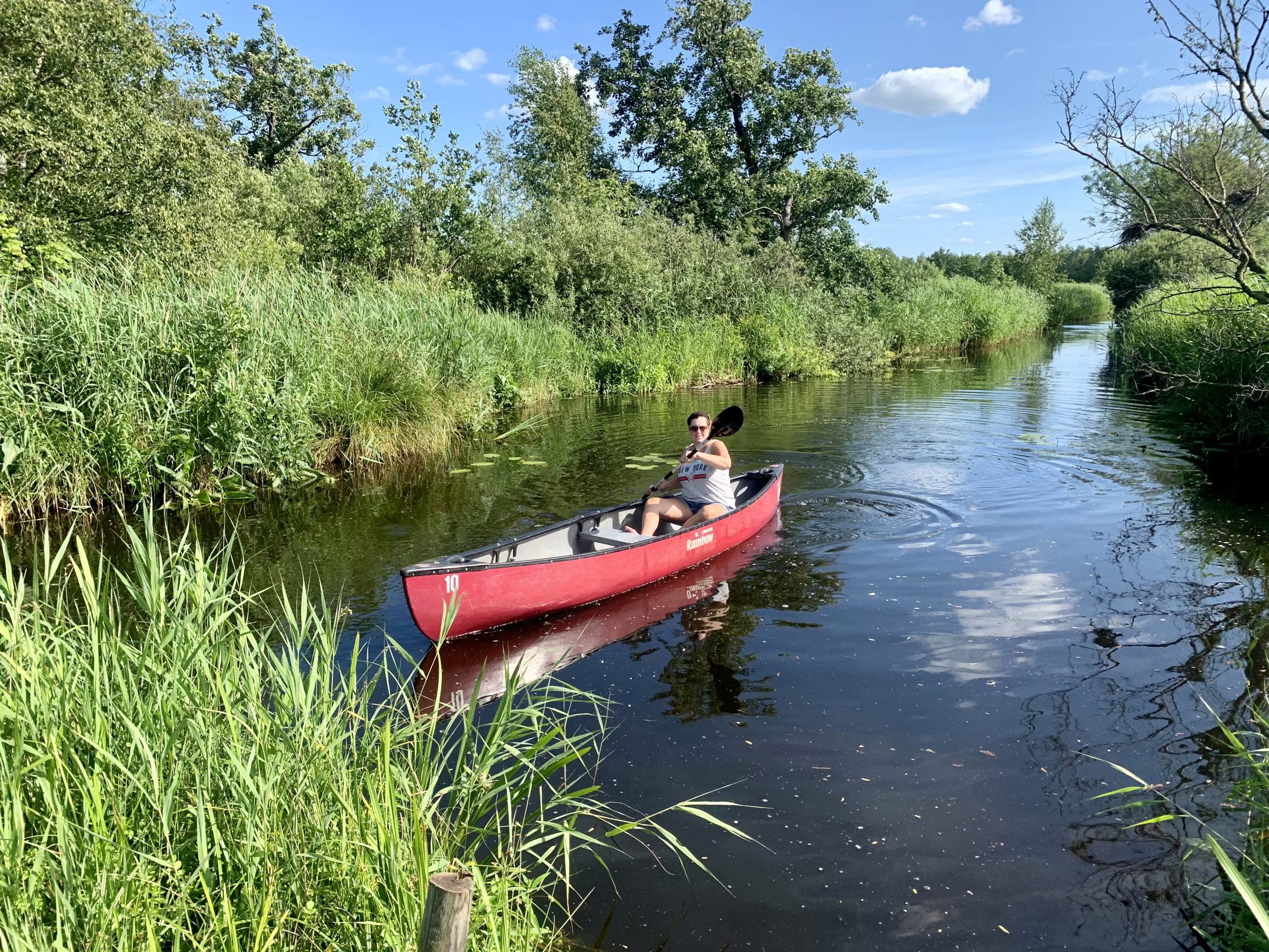 Doen in Friesland: kanoën in de Alde Feanen