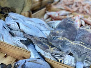 Eten en drinken op Sicilië