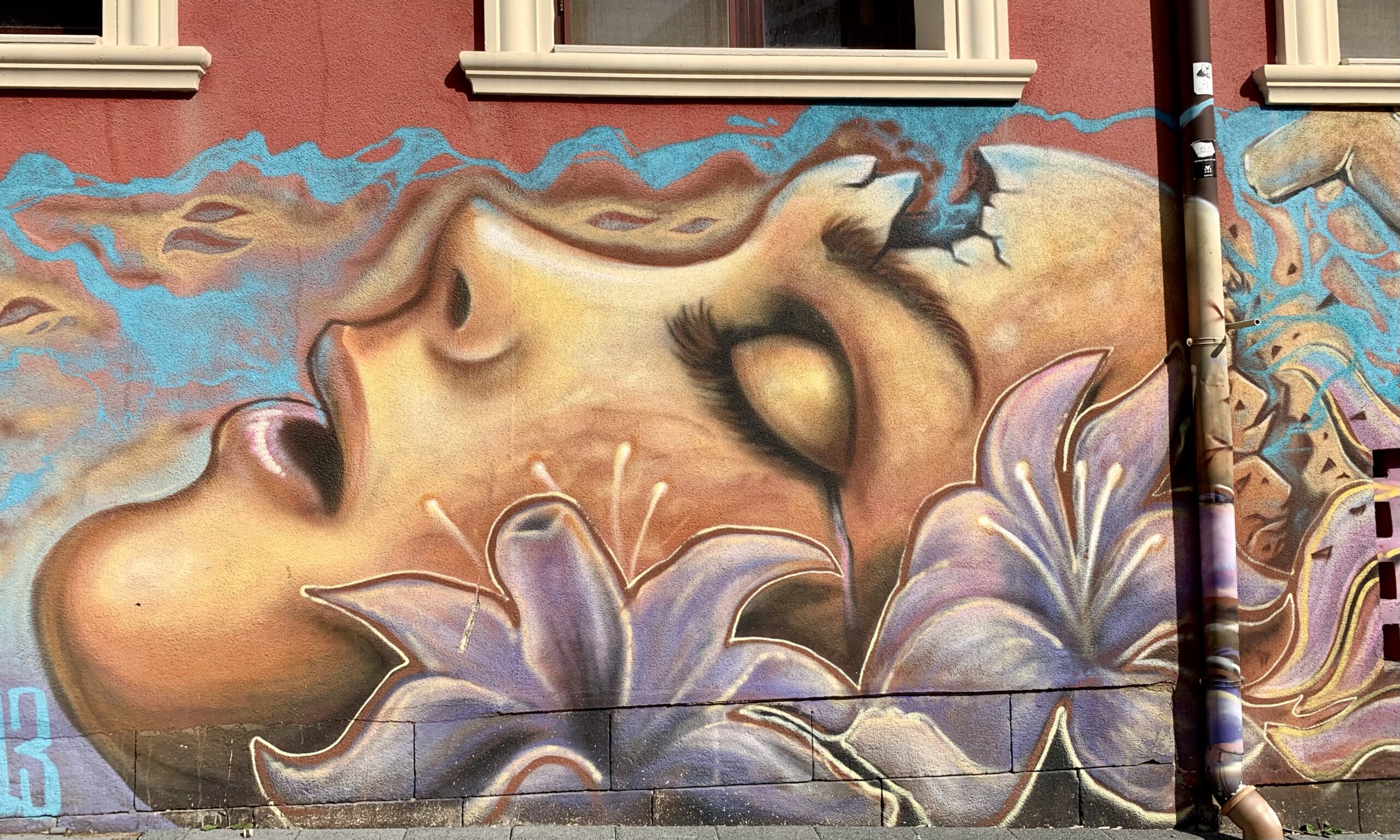 Street art en graffiti in Plovdiv, Bulgarije