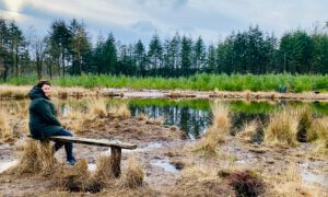 Stiphoutse bossen Helmond