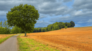 Fietsen in Frankrijk